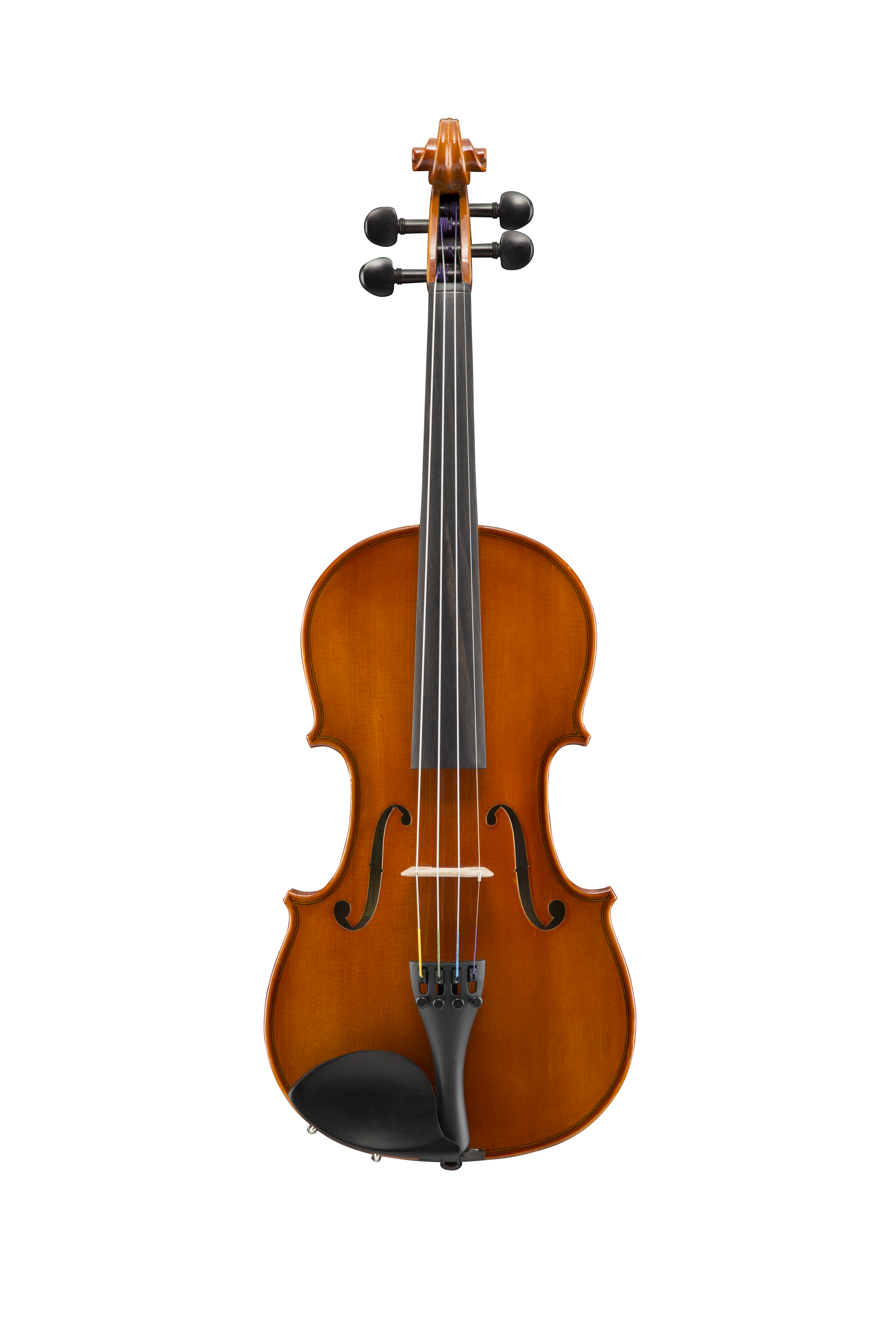 Samuel Eastman VL50 4/4 Violin